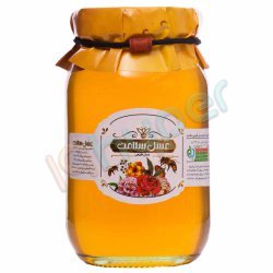 عسل طبیعی سلامت 650 گرم